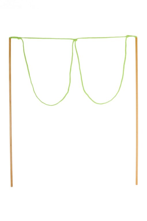 Bańkownica okulary drewniana